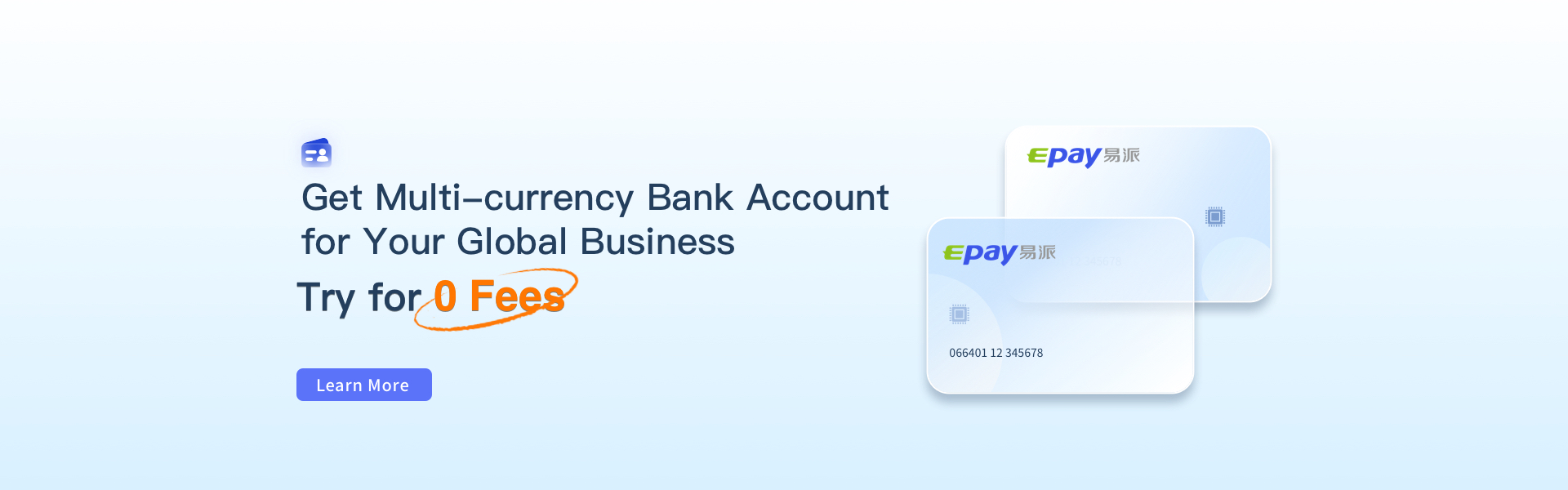 Get an Online Bank Account for Your Global Bussiness. Try for No Fees